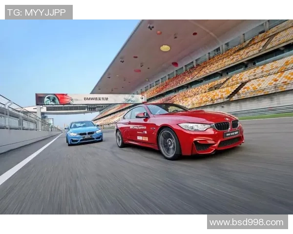 重磅专题：深圳极限运动队的区域防守革新